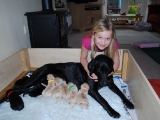 Katherine checking her puppies!
