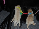 milk bar time
