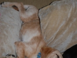 14wks