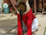Melvin came first in fancy dress!