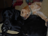 Archie and Melvin