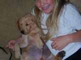 nine weeks old