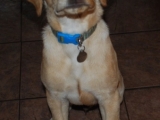Melvin 14wks old!