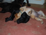 playtime with mum