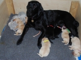 9 days old
