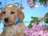 GORGEOUS BOY!