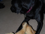 Mummy time!