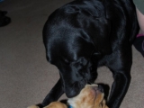 yay playtime with Mummy