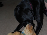 My mummy does love me!