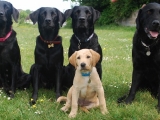My family!
