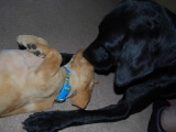 and more kisses please!