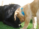Melvin with his mummy