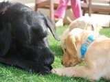 more kisses