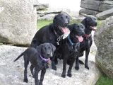 group-2