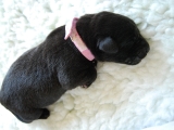 3 days old