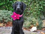 The beautiful Maggie