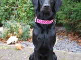 Maggie 