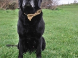 You have to love this boy - Charlie looking so handsome
