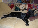 Molly looking so chilled out!
