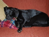 not just one cushion, but two...agghhh thats better!
