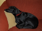 Stanley