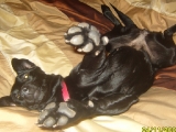 Molly being Molly!