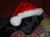 Santa\'s little Helper