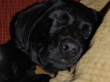 Stanley