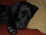 Stanley